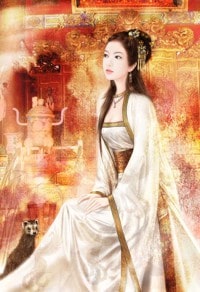 你若不来